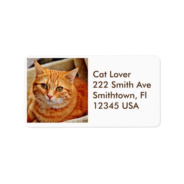 Orange Tabby Cat Address Label (Front)