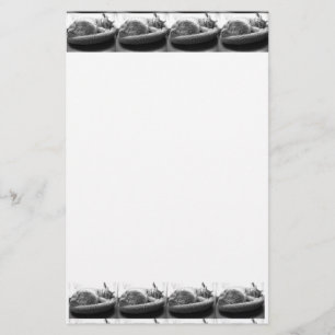 Orange Tabby Cat/Black & White Photography Stationery