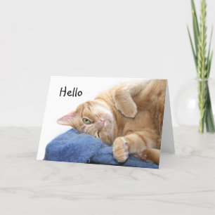 Orange tabby cat card