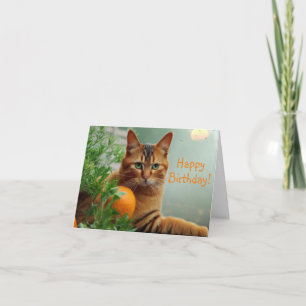 Orange Tabby Cat Card