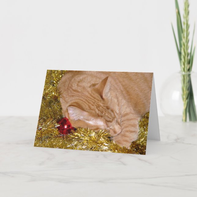 Orange tabby cat Christmas nap Holiday Card (Front)