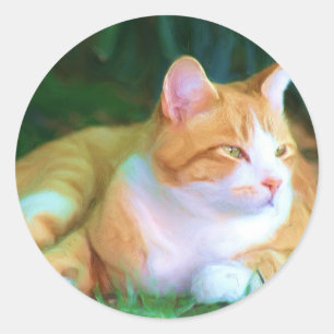 Orange Tabby Cat Classic Round Sticker