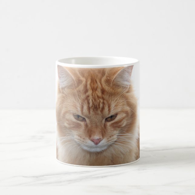 Orange Tabby Cat Coffee Mug (Center)