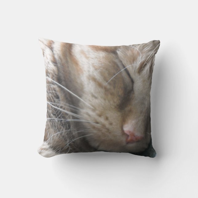 Orange Tabby Cat Cushion (Front)