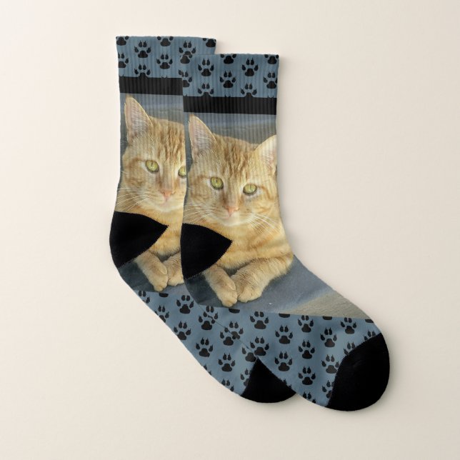 Orange Tabby Cat Custom Blue Socks (Pair)