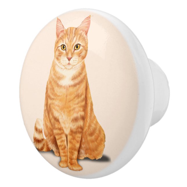 Orange Tabby Cat Custom Ceramic Knob (Right)