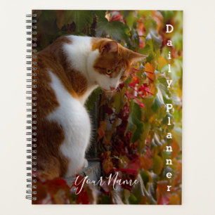 Orange Tabby Cat - Daily Planner- HAMbWG Planner