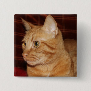 Orange Tabby Cat Face Profile 15 Cm Square Badge