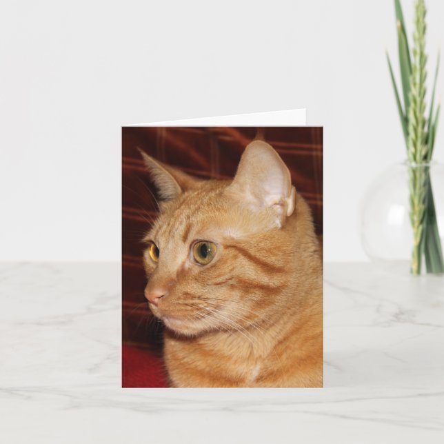 Orange Tabby Cat Face Profile Card (Front)