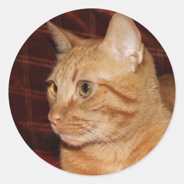 Orange Tabby Cat Face Profile Classic Round Sticker (Front)