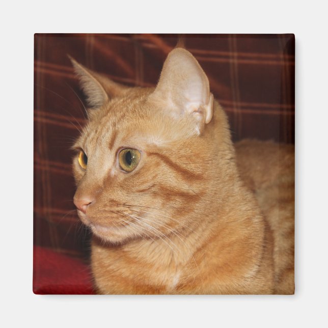 Orange Tabby Cat Face Profile Magnet (Front)