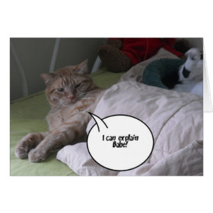 Orange Tabby Cat Humour