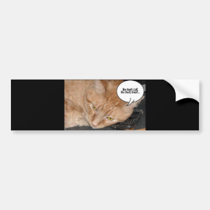 Orange Tabby Cat Humour/Cell Phone Bumper Sticker