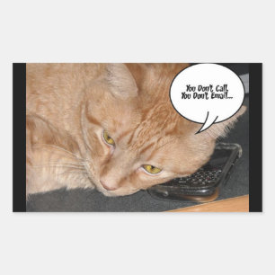Orange Tabby Cat Humour/Cell Phone Rectangular Sticker