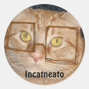 Orange Tabby Cat/Incognito Humour Classic Round Sticker
