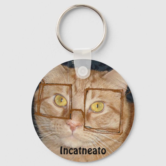 Orange Tabby Cat/Incognito Humour Key Ring (Front)