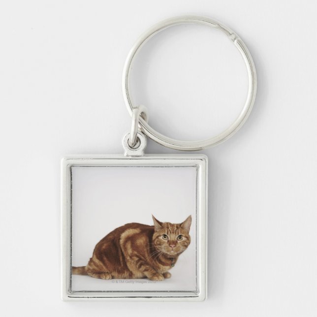 Orange Tabby cat Key Ring (Front)