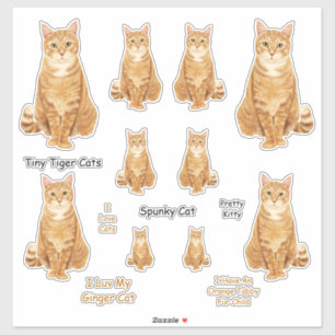 Orange Tabby Cat Lg Sticker Set