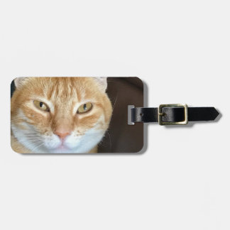 Orange tabby cat luggage tag
