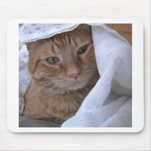 Orange Tabby Cat Mouse Mat