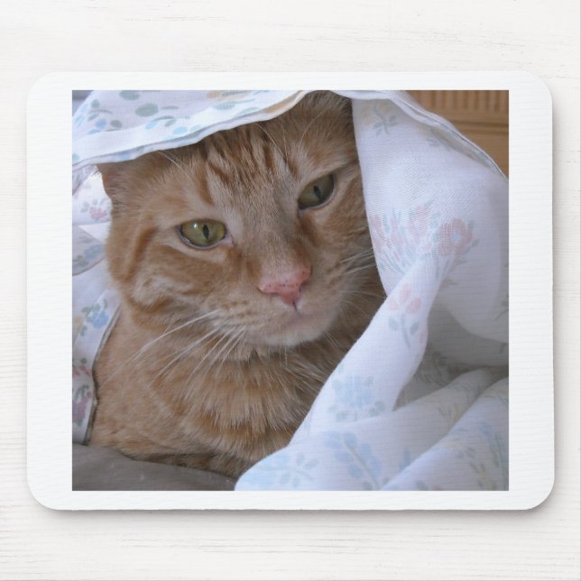 Orange Tabby Cat Mouse Mat (Front)