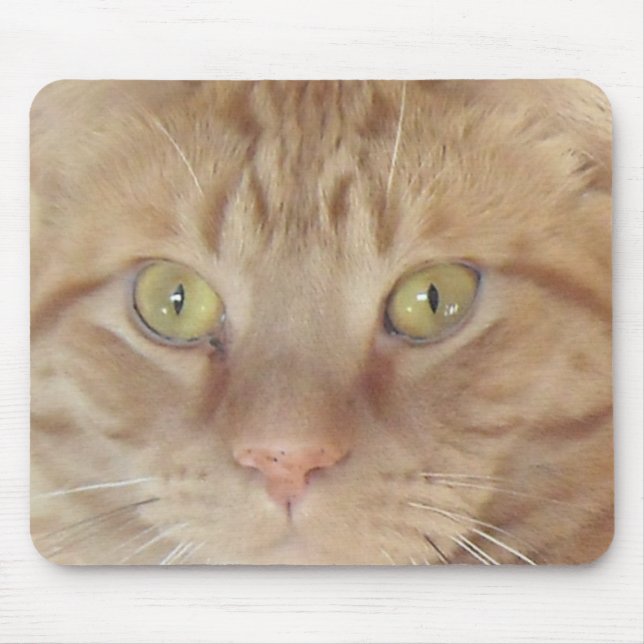 Orange Tabby Cat Mouse Mat (Front)