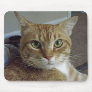 Orange Tabby Cat Mousepad