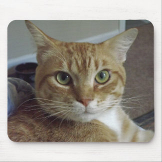 Orange Tabby Cat Mousepad