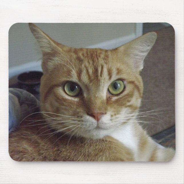Orange Tabby Cat Mousepad (Front)