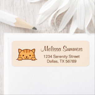 Orange Tabby Cat Pet Beige Address