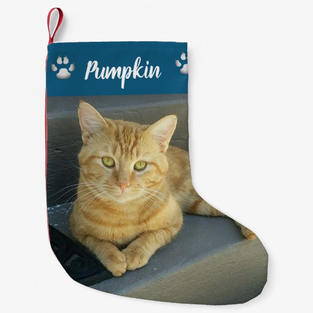 Orange Tabby Cat Pet Photo Blue Personalised Small Christmas Stocking (Front)