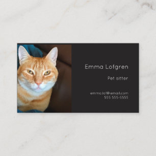 Orange tabby cat pet sitter business card