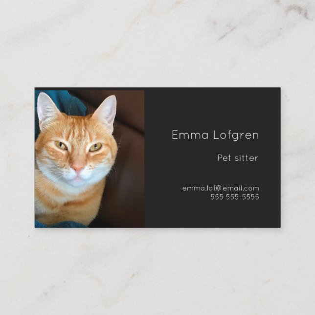 Orange tabby cat pet sitter business card (Front)