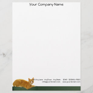 Orange Tabby cat Sitting on Green Fence Letterhead Design