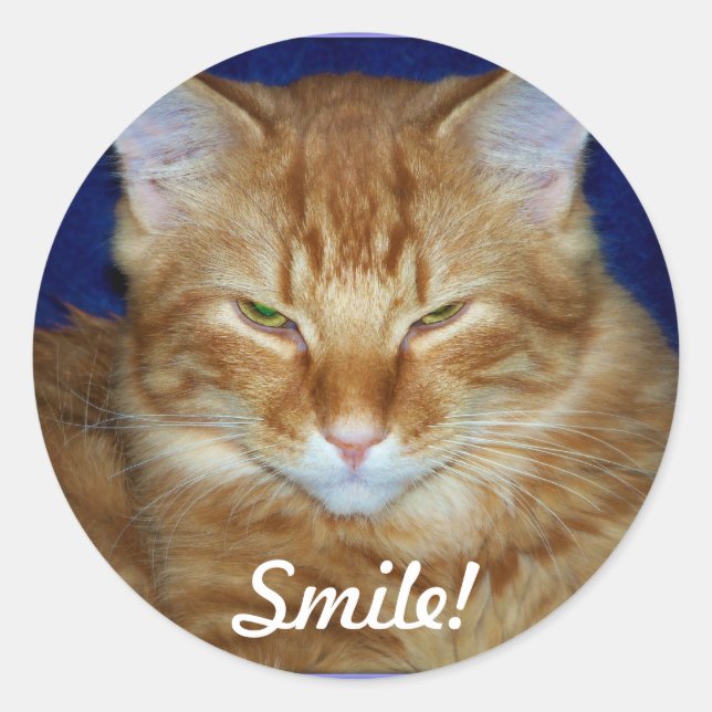 Orange Tabby Cat Smile Sticker (Front)
