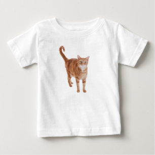 Orange Tabby Cat Standing Baby T-Shirt