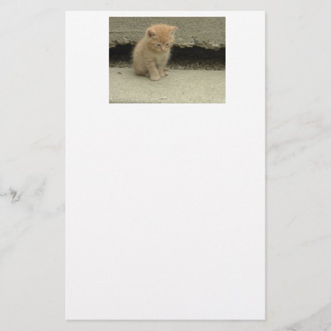 Orange Tabby Cat Stationery (Front)