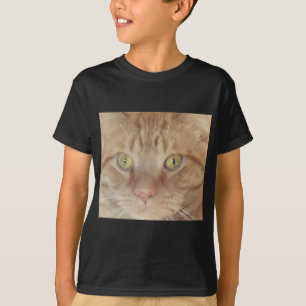 Orange Tabby Cat T-Shirt