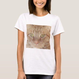 Orange Tabby Cat T-Shirt
