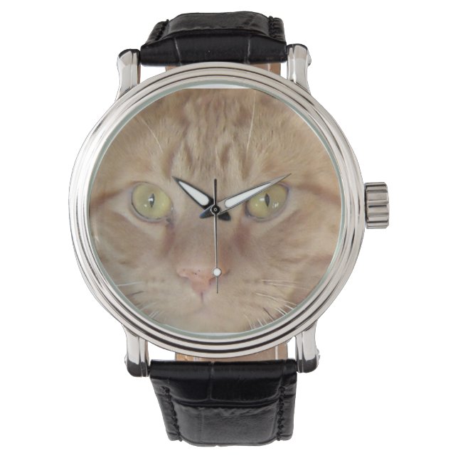 Orange Tabby Cat Watch (Front)