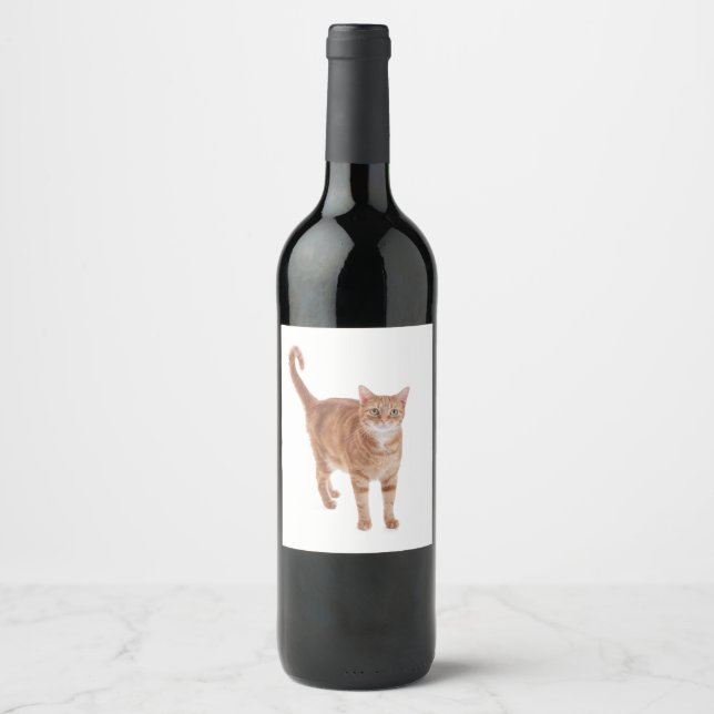 Orange Tabby Cat Wine Label (Front)
