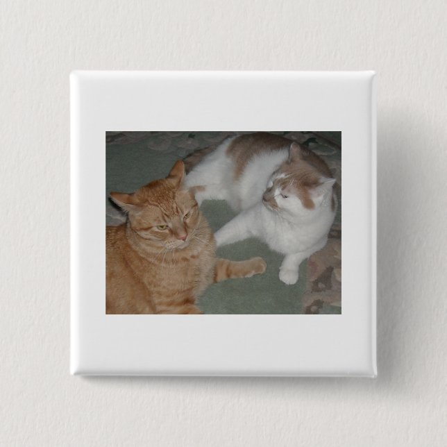 Orange Tabby Cats 15 Cm Square Badge (Front)