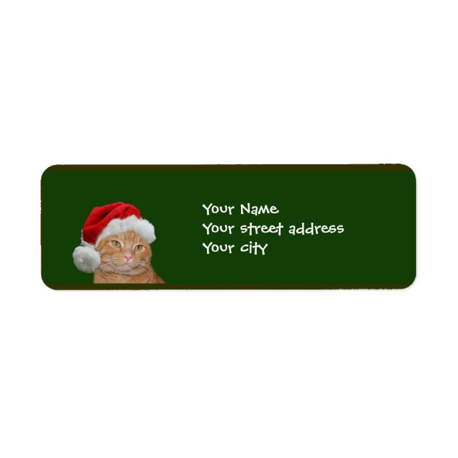 Orange tabby Christmas (Front)