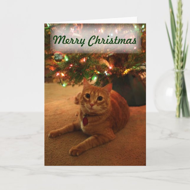 Orange Tabby Christmas Card (Front)