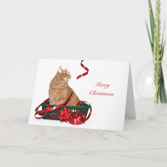 Orange tabby Christmas Holiday Card (Front)