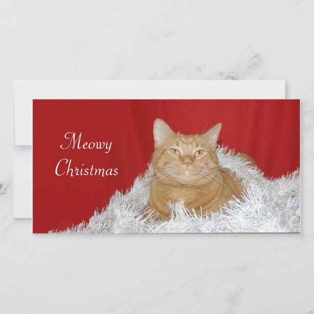 Orange tabby Christmas Holiday Card (Front)
