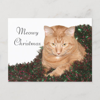 Orange tabby Christmas Holiday Postcard