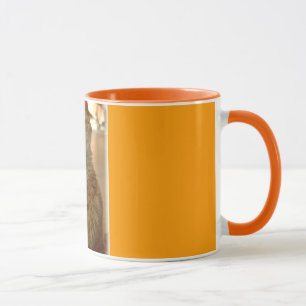 Orange Tabby Citten Mug