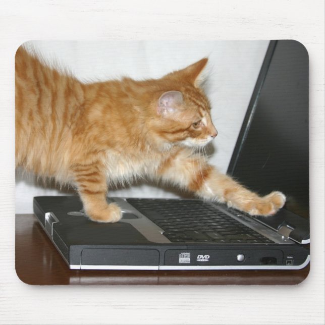Orange tabby computer mouse mat (Front)