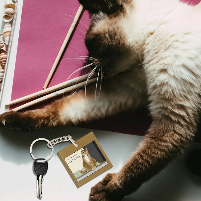 Orange Tabby Homeowner Funny Cat Key Ring (Creator Uploaded)